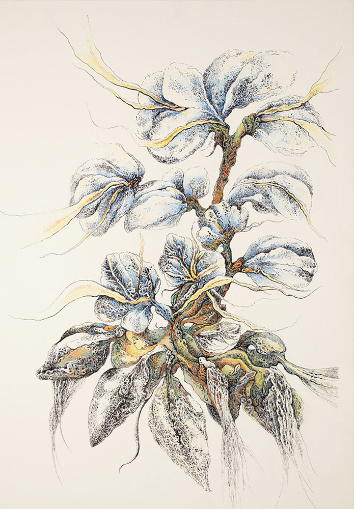Berestko Jolanta Kwiat - Jolanta Berestko