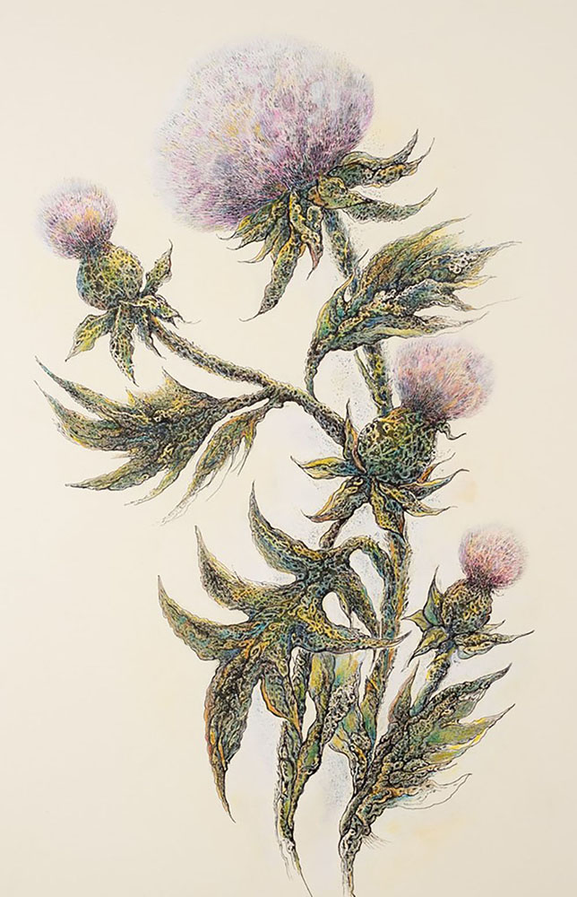 Berestko Jolanta Osty - Jolanta Berestko