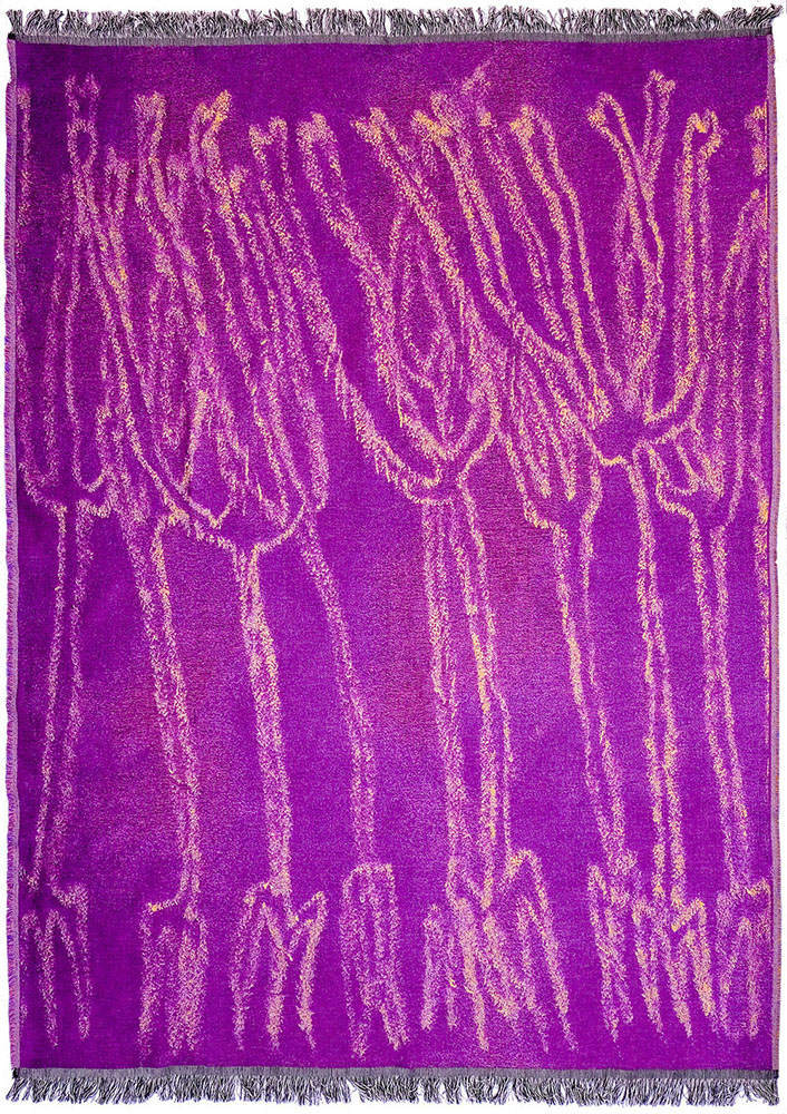 Vostrouchovaite_Ana_Klosy - Iza Sojka