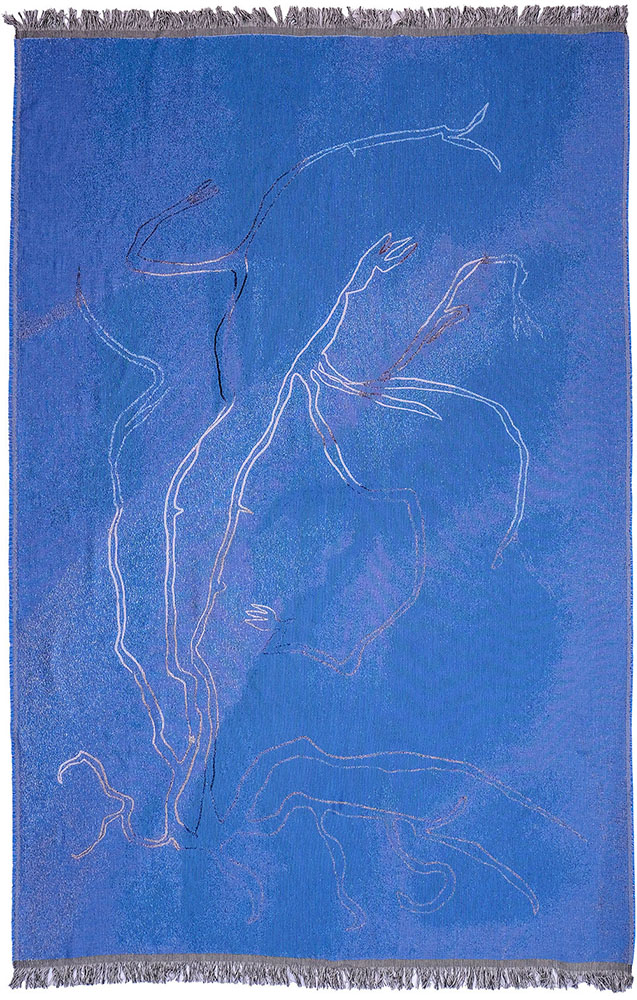 Vostrouchovaite_Ana_Niebieski - Iza Sojka